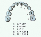 Q֪׼