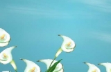 Ϣվ (׃@n)