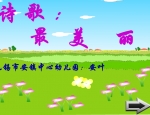 ׃@аZԣԊ(sh)衶FLASH(dng)n