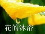 ׃ɢpԡ (Ӯҕl)