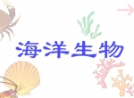 ׃@(dng)n