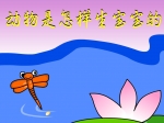 ׃@ƌW(xu)n(dng)
