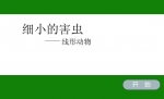 ׃@ƌW(xu)(dng)n(x)Сĺx(chng)