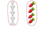 ׃@С(sh)W(xu)nӺ}