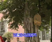 (sh) (׃@С(l)(dng)̰)