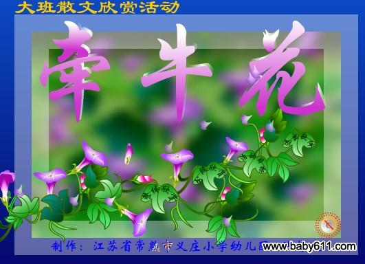 ׃@Z(y)ɢpFLASH(dng)(hu)n