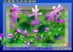 ׃@Z(y)ɢpFLASH(dng)n