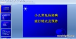 СҊ(jin)Ⱦc(din)cA(y) PPTn