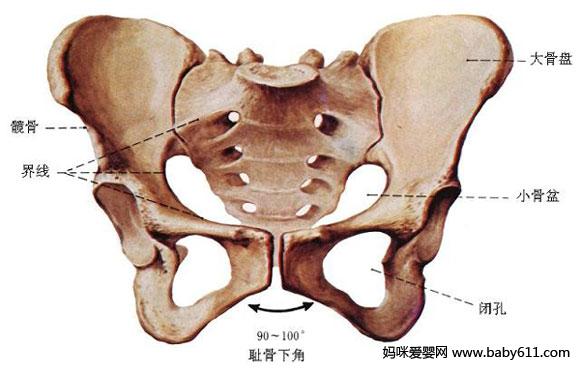 Q혮a4