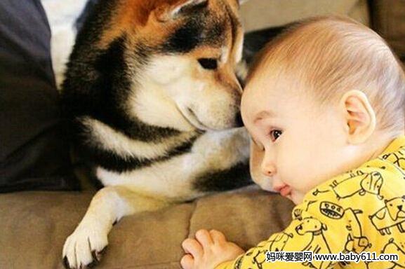 LeѺӮB(yng)