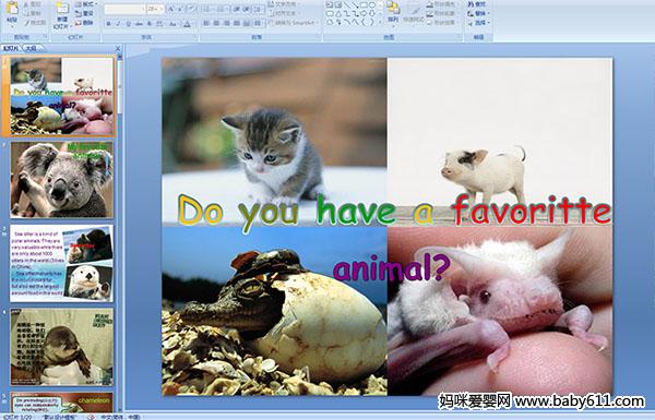 كӢZ(y)nDo you have a favoritte animal?