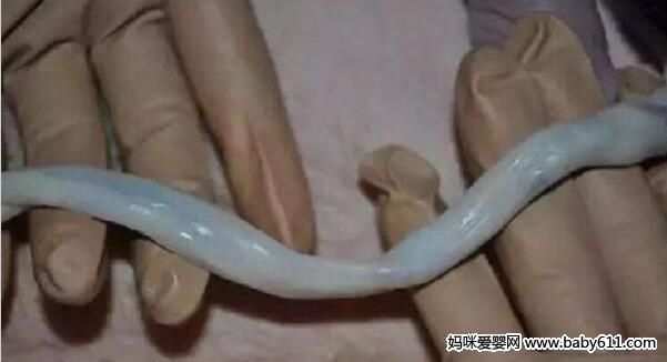 һ犼Ě(du)Ȼ@ô̎