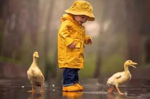 ׃@ӱ،WĴYx