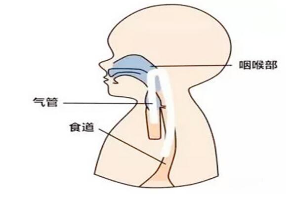 ʲô(hu)ְ֋Ҫ˽