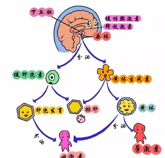 ǰzԼ(xing)ʲôr(sh)^m