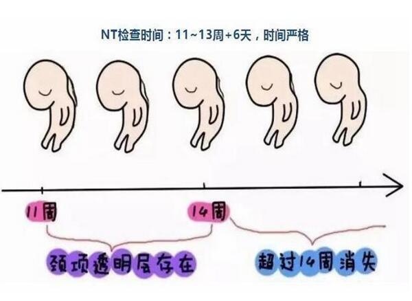 (xing)zͨ^fܽ
