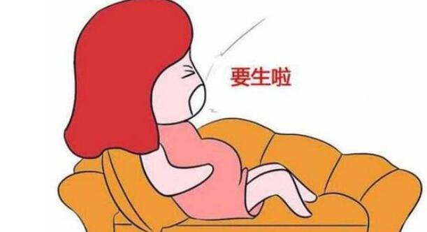 ̥(zhn)Ҫע@c